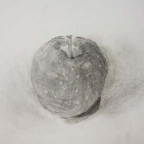 鉛筆デッサン・りんご（小４）