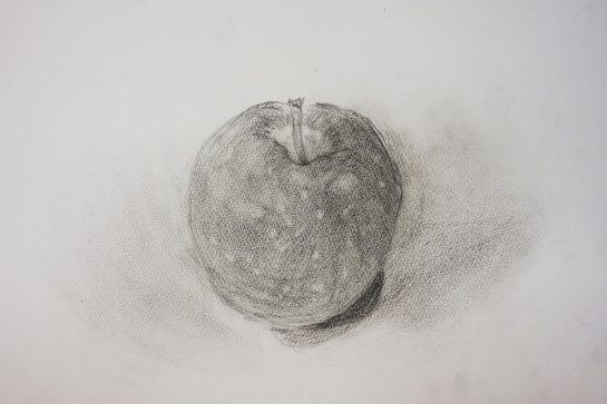 鉛筆デッサン・りんご（小４）
