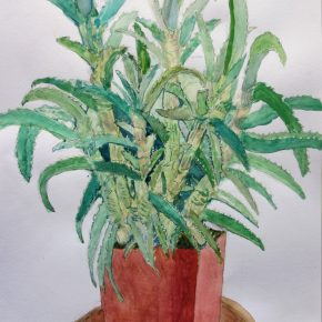 植物の水彩画（小５）