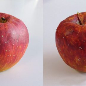 リンゴの模刻完成2021（小４・５）