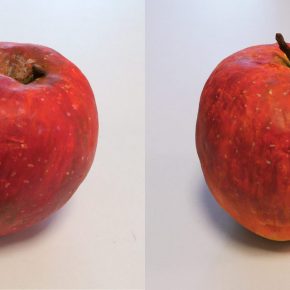 リンゴの模刻完成2021（小５・４）