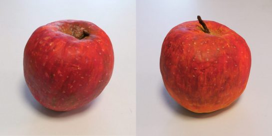 リンゴの模刻完成2021（小５・４）