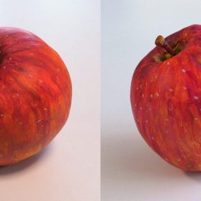 リンゴの模刻完成2021（小６・５）