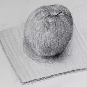 鉛筆デッサン（リンゴと段ボール）2024（小５）