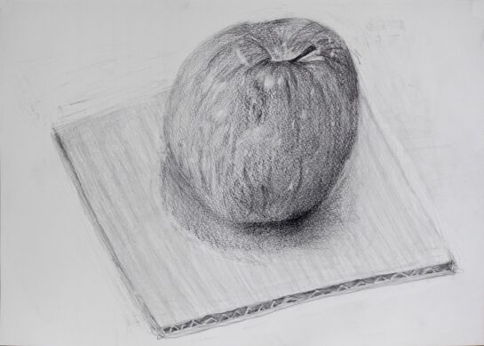鉛筆デッサン（リンゴと段ボール）2024（小５）
