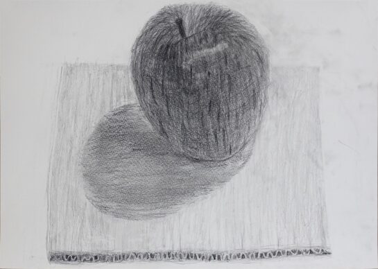 鉛筆デッサン（リンゴと段ボール）（小４）