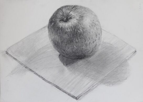 鉛筆デッサン（リンゴと段ボール）2024（小４）