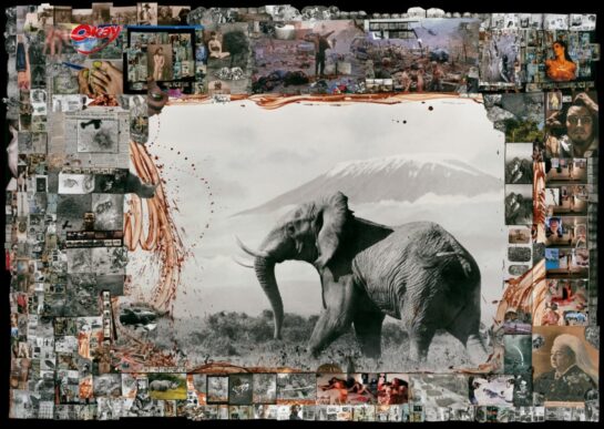 Peter Beard