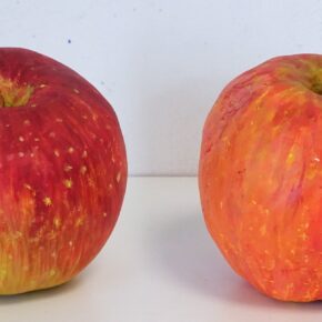 リンゴ模刻（中２、小５）