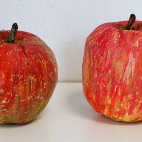 リンゴ模刻（小３、小５）