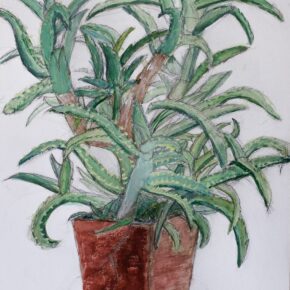 アロエの着彩生徒作品（小6）｜千葉市稲毛区の絵画教室・穴川キッズアトリエ・ベアヒェン