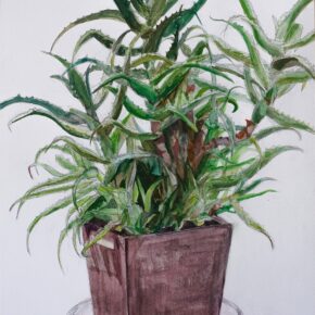 アロエの着彩生徒作品（中２）｜千葉市稲毛区の絵画教室・穴川キッズアトリエ・ベアヒェン