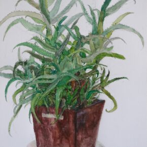 アロエの着彩生徒作品（小5）｜千葉市稲毛区の絵画教室・穴川キッズアトリエ・ベアヒェン