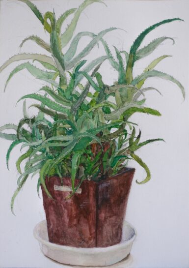 アロエの着彩生徒作品(小5)|千葉市稲毛区の絵画教室・穴川キッズアトリエ・ベアヒェン