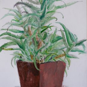 アロエの着彩生徒作品（小5）｜千葉市稲毛区の絵画教室・穴川キッズアトリエ・ベアヒェン