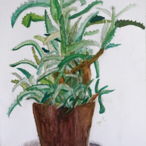 アロエの着彩生徒作品（小3）｜千葉市稲毛区の絵画教室・穴川キッズアトリエ・ベアヒェン