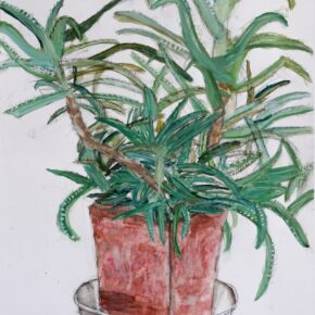 アロエの着彩生徒作品（小5）｜千葉市稲毛区の絵画教室・穴川キッズアトリエ・ベアヒェン