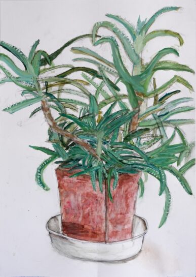 アロエの着彩生徒作品(小5)|千葉市稲毛区の絵画教室・穴川キッズアトリエ・ベアヒェン