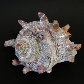 サザエの模刻 生徒作品 2026（中1）｜千葉市稲毛区の絵画教室　穴川キッズアトリエ・ベアヒェン
