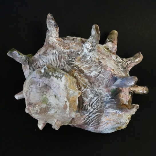 サザエの模刻 生徒作品 2026（小5）｜千葉市稲毛区の絵画教室　穴川キッズアトリエ・ベアヒェン